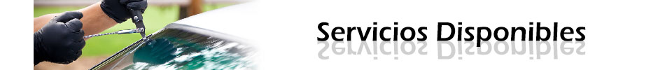 Servicios Servicios